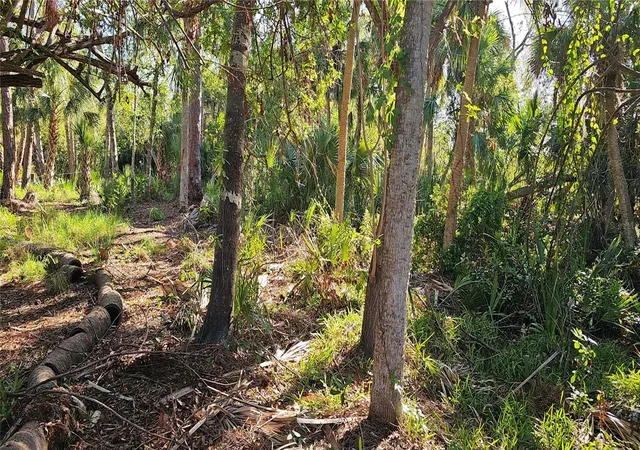 Photo 4 of Land for sale at 6394 Mckinley Ter, Englewood, FL 34224 | MLS# A4631549 | Listing updated on 2026-02-01