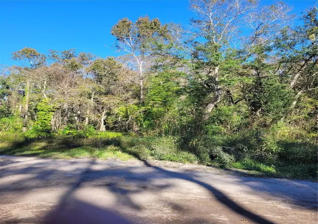 Photo 1 of Land for sale at Morena St #5, New Port Richey, FL 34654 | MLS# W7870547 | Listing updated on 2025-12-11
