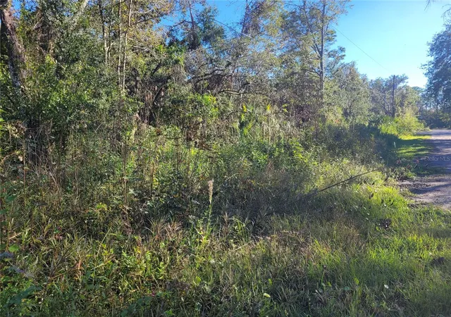 Photo 3 of Land for sale at Morena St #5, New Port Richey, FL 34654 | MLS# W7870547 | Listing updated on 2025-12-11