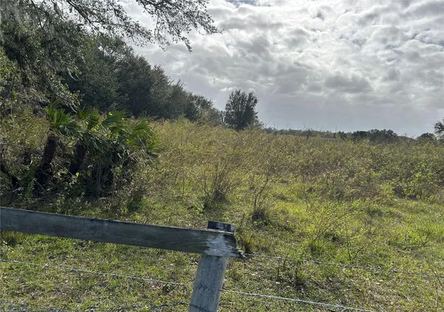 Photo 4 of Land for sale at Sr 64, Zolfo Springs, FL 33890 | MLS# L4949380 | Listing updated on 2026-09-03