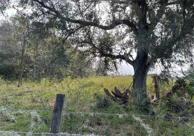 Photo 5 of Land for sale at Sr 64, Zolfo Springs, FL 33890 | MLS# L4949380 | Listing updated on 2026-09-03