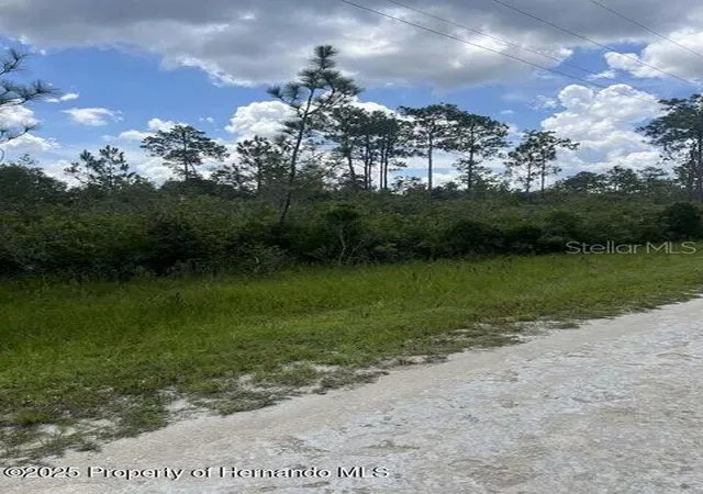 Photo 3 of Land for sale at 00 Ramsey Rd, Brooksville, FL 34614 | MLS# TB8329915 | Listing updated on 2025-08-15