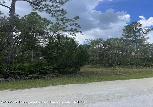 Photo 3 of Land for sale at 00 Ramsey Rd, Brooksville, FL 34614 | MLS# TB8329915 | Listing updated on 2025-08-15