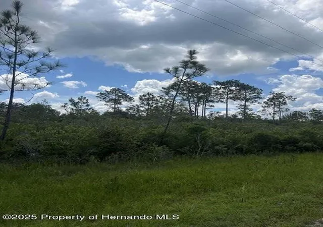 Photo 4 of Land for sale at 00 Ramsey Rd, Brooksville, FL 34614 | MLS# TB8329915 | Listing updated on 2025-08-15