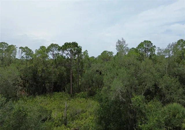 Photo 4 of Land for sale at 14059 Hughes Ave, Port Charlotte, FL 33953 | MLS# N6135930 | Listing updated on 2026-07-19