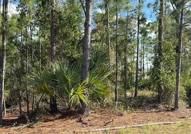 Photo 2 of Land for sale at 142 Algonquin St, Port Charlotte, FL 33954 | MLS# C7502141 | Listing updated on 2025-12-02