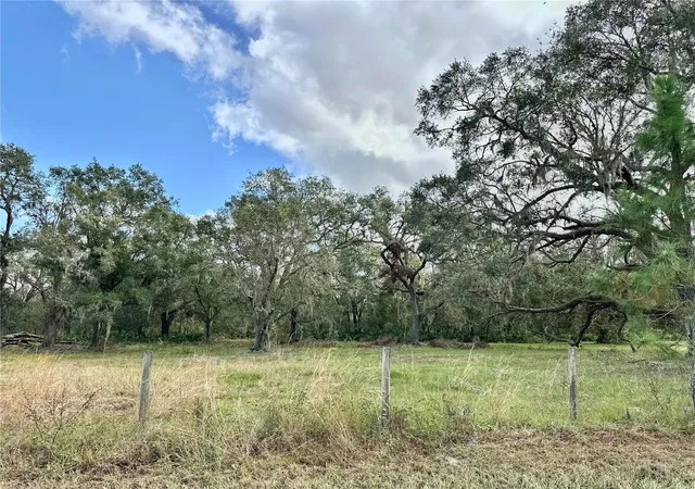 Photo 25 of Land for sale at (Undisclosed), Wauchula, FL 33873 | MLS# A4632685 | Listing updated on 2026-05-09