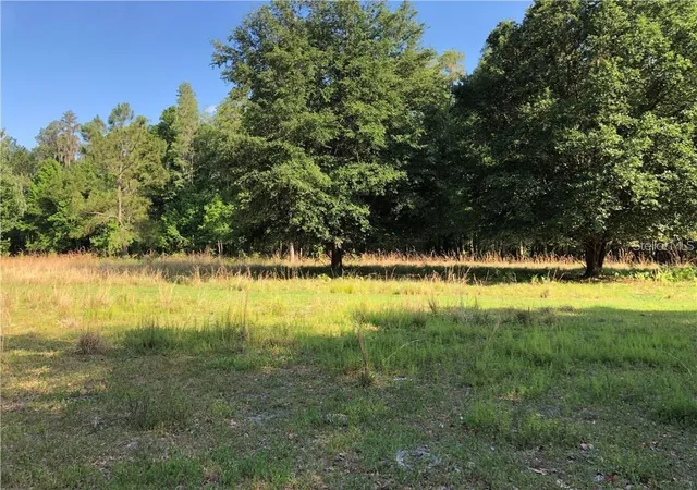 1st image of 17301 Morris Bridge Rd, Thonotosassa, FL 33592 | MLS# TB8331185