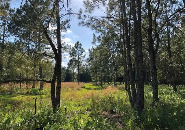 3rd image of 17301 Morris Bridge Rd, Thonotosassa, FL 33592 | MLS# TB8331185