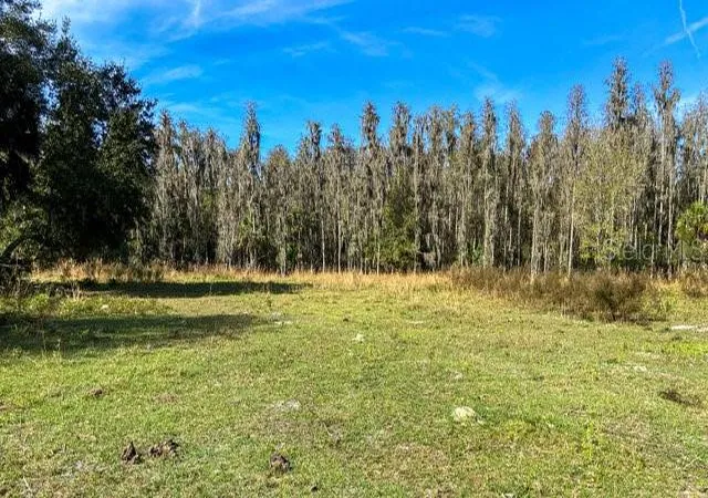4th image of 17301 Morris Bridge Rd, Thonotosassa, FL 33592 | MLS# TB8331185