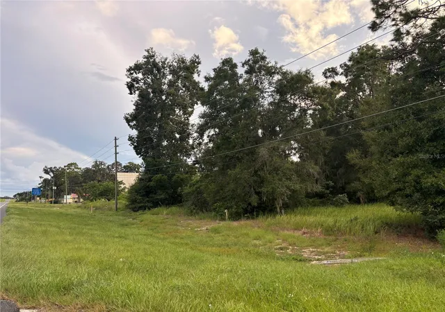 4th image of Us Hwy 301, Belleview, FL 34420 | MLS# A4632821
