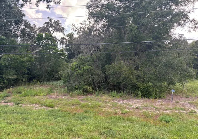 7th image of Us Hwy 301, Belleview, FL 34420 | MLS# A4632821