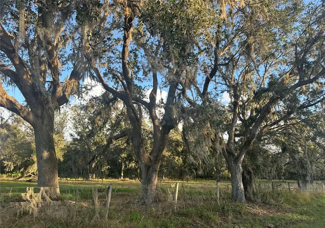 Photo 1 of Land for sale at 0 Polk Rd, Wauchula, FL 33873 | MLS# A4632828 | Listing updated on 2026-05-09