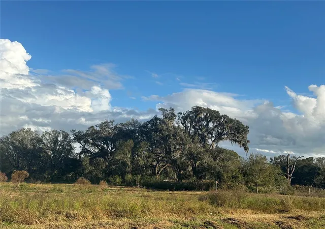 Photo 3 of Land for sale at 0 Polk Rd, Wauchula, FL 33873 | MLS# A4632828 | Listing updated on 2026-10-10