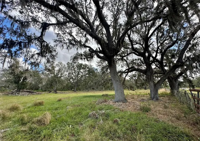 Photo 4 of Land for sale at 0 Polk Rd, Wauchula, FL 33873 | MLS# A4632828 | Listing updated on 2026-10-10