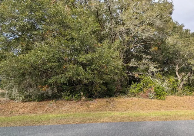 2nd image of 000 Sw Beach Blvd, Dunnellon, FL 34431 | MLS# OM691510