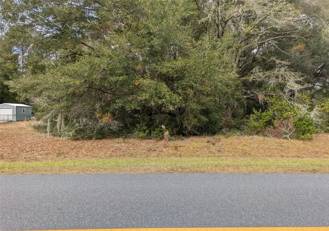 3rd image of 000 Sw Beach Blvd, Dunnellon, FL 34431 | MLS# OM691510