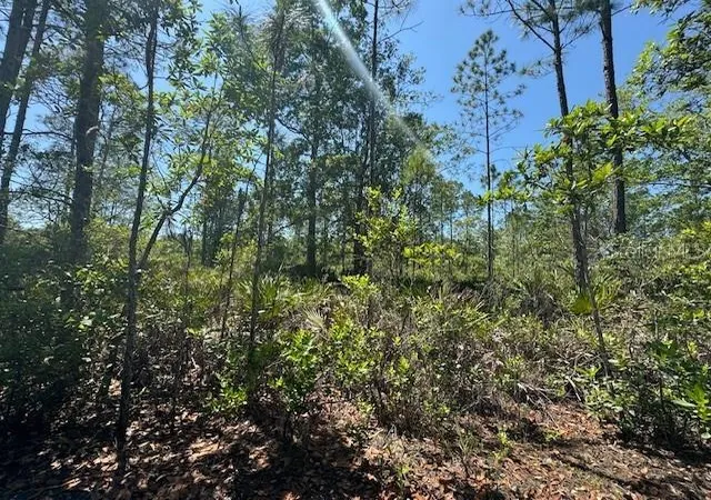 1st image of Ninemile Point Rd, Pierson, FL 32180 | MLS# O6266114