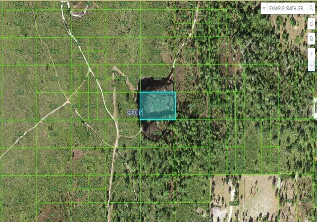 Photo 1 of Land for sale at Tiger Lake Rd, Lake Wales, FL 33898 | MLS# O6266193 | Listing updated on 2026-06-29