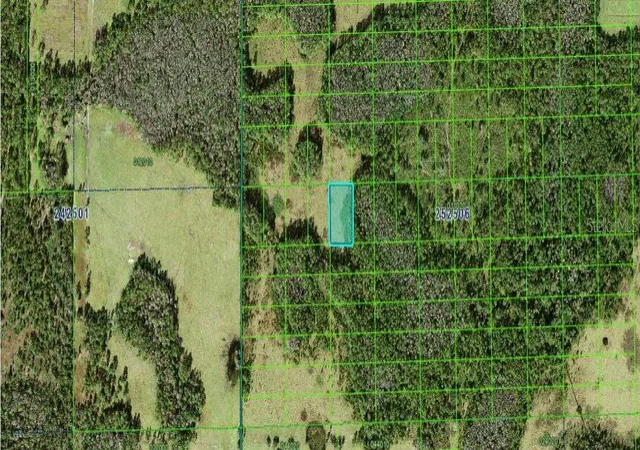 Photo 3 of Land for sale at Judy Rd, Polk City, FL 33868 | MLS# O6266952 | Listing updated on 2026-06-27