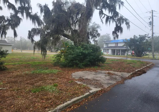 Photo 3 of Land for sale at 795 W Vine St, Bartow, FL 33830 | MLS# L4949591 | Listing updated on 2026-10-01