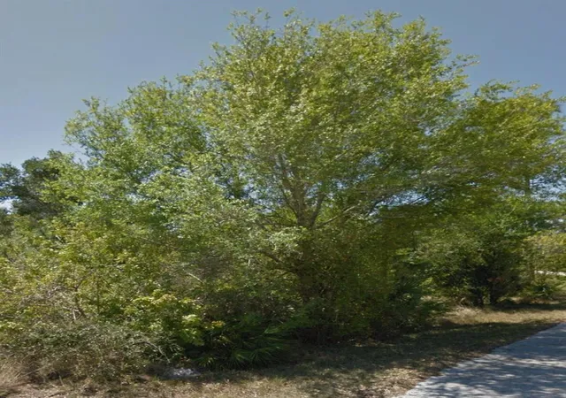 Photo 3 of Land for sale at 23509 Branch Ave, Punta Gorda, FL 33980 | MLS# C7502582 | Listing updated on 2026-07-01