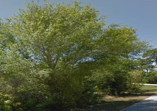Photo 4 of Land for sale at 23509 Branch Ave, Punta Gorda, FL 33980 | MLS# C7502582 | Listing updated on 2026-07-01