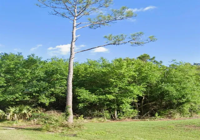 Photo 3 of Land for sale at 23509 Branch Ave, Punta Gorda, FL 33980 | MLS# C7502582 | Listing updated on 2026-07-01