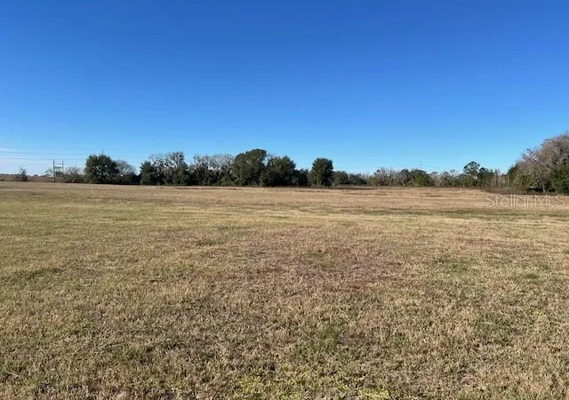 4th image of 0 Nw 95th St #Lot 8, Anthony, FL 32617 | MLS# OM692375