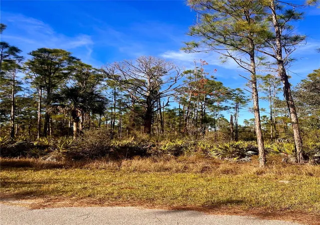 Photo 3 of Land for sale at 13084 Harbison Ave, Port Charlotte, FL 33953 | MLS# A4634738 | Listing updated on 2025-01-16