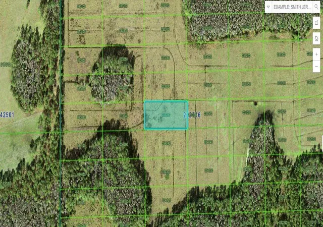 Photo 1 of Land for sale at Sun Juan Ave, Polk City, FL 33868 | MLS# O6269863 | Listing updated on 2026-03-03