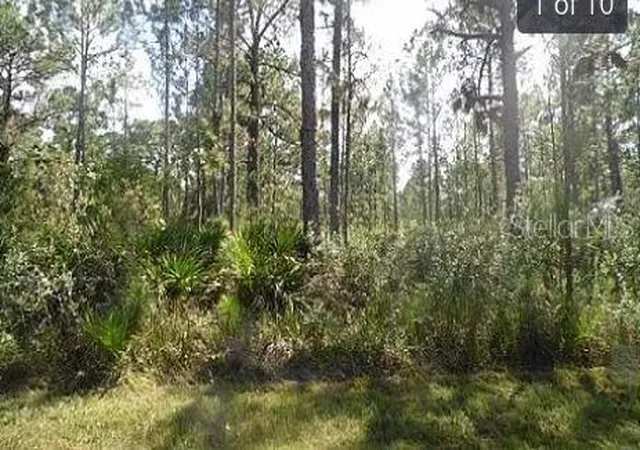 Photo 2 of Land for sale at Highway 60 E, Lake Wales, FL 33898 | MLS# O6270658 | Listing updated on 2026-03-02