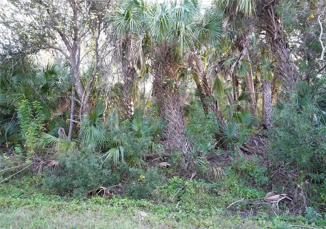 Photo 1 of Land for sale at 14299 Cannell Ln, Port Charlotte, FL 33953 | MLS# C7503190 | Listing updated on 2026-10-30