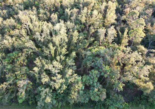 Photo 4 of Land for sale at 14299 Cannell Ln, Port Charlotte, FL 33953 | MLS# C7503190 | Listing updated on 2026-10-30