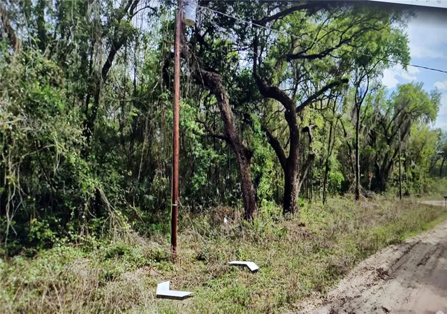 Photo 2 of Land for sale at 00 Clifford St, Interlachen, FL 32148 | MLS# NS1083501 | Listing updated on 2026-08-11