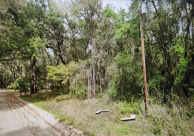 Photo 3 of Land for sale at 00 Clifford St, Interlachen, FL 32148 | MLS# NS1083501 | Listing updated on 2026-08-11