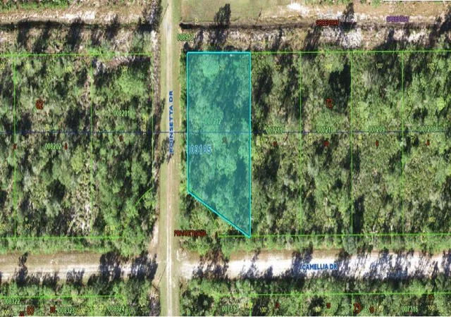 2nd image of 224 Camellia Dr, Indian Lake Estates, FL 33855 | MLS# O6272518