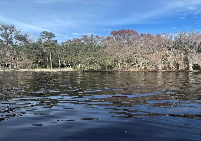 Photo 2 of Land for sale at 233 Stella Rd, Georgetown, FL 32139 | MLS# V4940404 | Listing updated on 2026-07-31