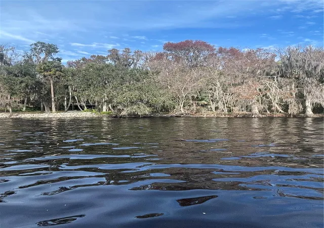 Photo 5 of Land for sale at 233 Stella Rd, Georgetown, FL 32139 | MLS# V4940404 | Listing updated on 2026-07-31