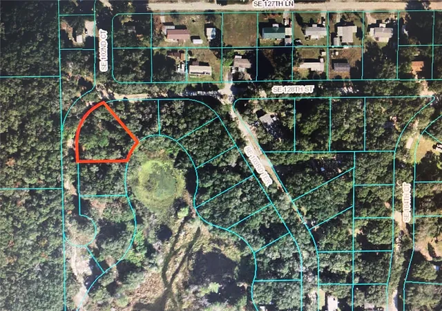 1st image of 12851 Se 102nd Ct, Belleview, FL 34420 | MLS# OM693476