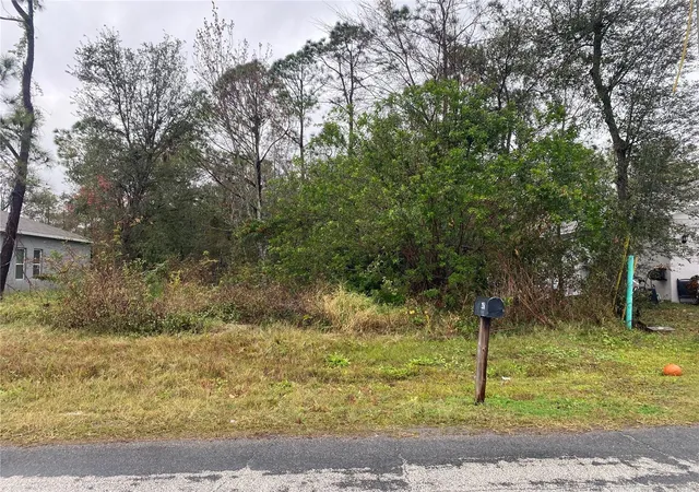 Homes for sale in Kissimmee, FL | Clermont Dr, Kissimmee, FL 34759 | MLS# P4933432