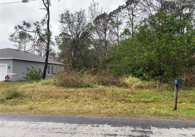 Homes for sale in Kissimmee, FL | Clermont Dr, Kissimmee, FL 34759 | MLS# P4933432