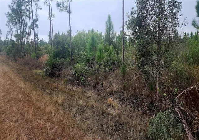 Photo 1 of Land for sale at 619 Calendula Dr, Indian Lake Estates, FL 33855 | MLS# P4933452 | Listing updated on 2026-07-03