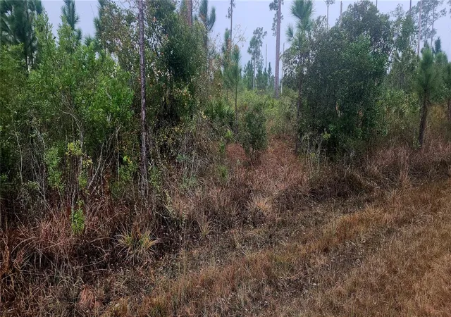 Photo 2 of Land for sale at 619 Calendula Dr, Indian Lake Estates, FL 33855 | MLS# P4933452 | Listing updated on 2026-07-03