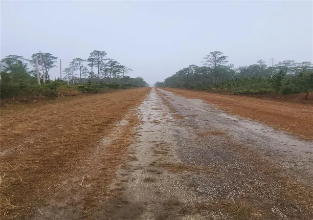 Photo 3 of Land for sale at 619 Calendula Dr, Indian Lake Estates, FL 33855 | MLS# P4933452 | Listing updated on 2026-07-03