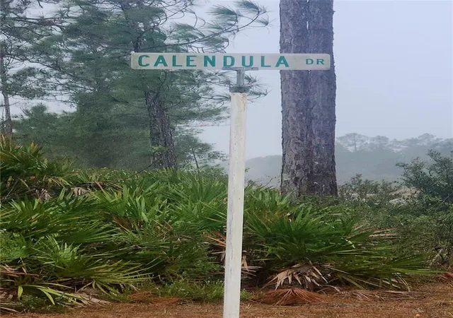 Photo 3 of Land for sale at 619 Calendula Dr, Indian Lake Estates, FL 33855 | MLS# P4933452 | Listing updated on 2026-07-03