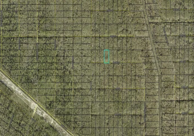 Homes for sale in Hastings, FL | Xx Hagar St St, Hastings, FL 32145 | MLS# FC306883
