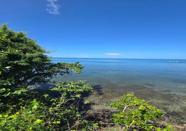 Photo 3 of Land for sale at Bo Guanajibo Carr 102, Cabo Rojo, PR 00623 | MLS# PR9111399 | Listing updated on 2026-08-12