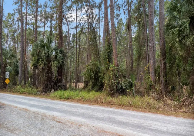 Homes for sale in Debary, FL | Sanctuary Ave, Debary, FL 32713 | MLS# O6276050