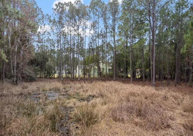Homes for sale in Debary, FL | Sanctuary Ave, Debary, FL 32713 | MLS# O6276050
